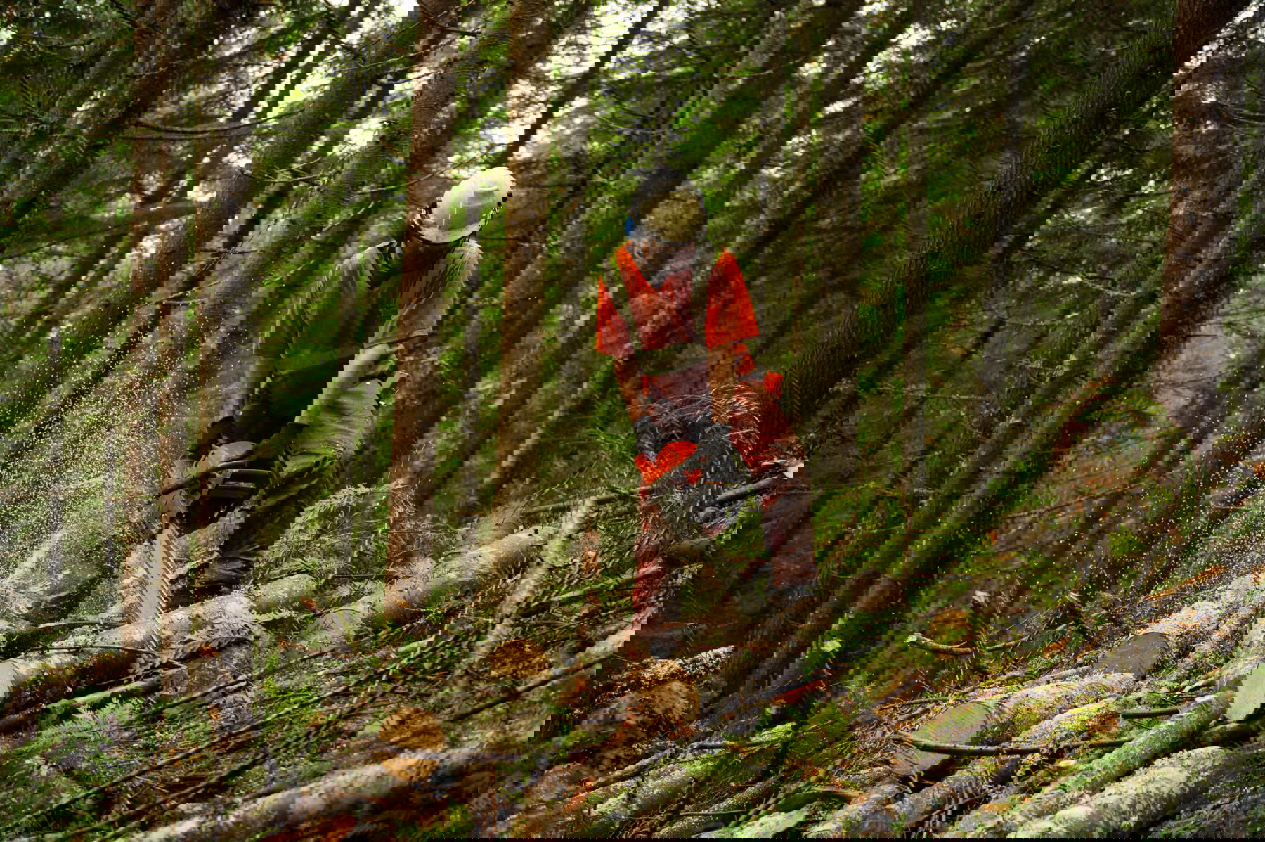 Waldarbeit – Werkzeug und Zubehör